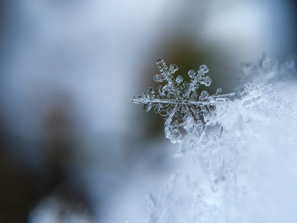 雪の結晶